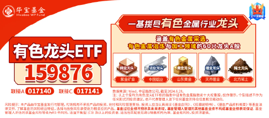 燃炸！北方稀土等8股涨停！有色龙头ETF（159876）盘中猛拉5%，机构：成长为王，材料再启航