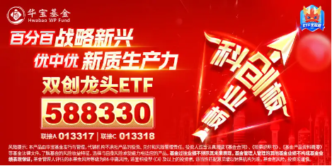 半导体领衔，创业板+科创板联袂狂飙，成长“战斗基”——双创龙头ETF（588330）盘中涨超2%